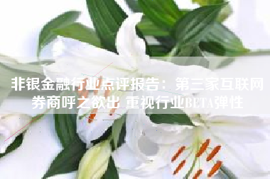 非银金融行业点评报告：第三家互联网券商呼之欲出 重视行业BETA弹性