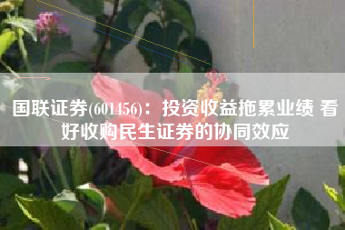 国联证券(601456)：投资收益拖累业绩 看好收购民生证券的协同效应