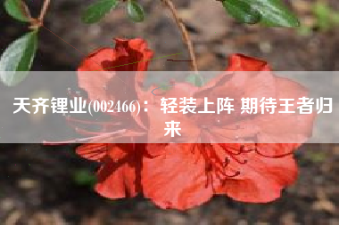 天齐锂业(002466)：轻装上阵 期待王者归来