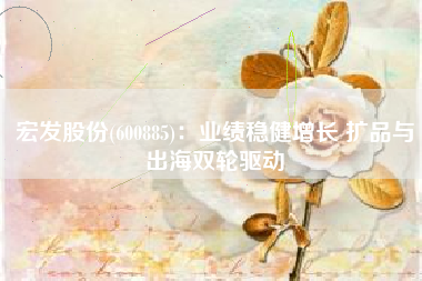 宏发股份(600885)：业绩稳健增长 扩品与出海双轮驱动