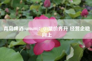 青岛啤酒(600600)：Q4量价齐升 经营企稳向上
