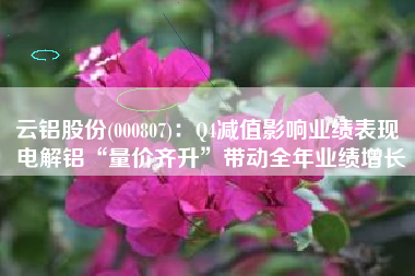 云铝股份(000807)：Q4减值影响业绩表现 电解铝“量价齐升”带动全年业绩增长