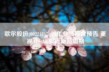 歌尔股份(002241)：24年业绩符合预告 重视AI+AR眼镜新品周期