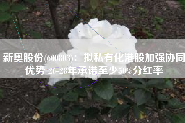 新奥股份(600803)：拟私有化港股加强协同优势 26-28年承诺至少50%分红率