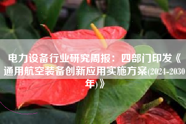 电力设备行业研究周报：四部门印发《通用航空装备创新应用实施方案(2024-2030年)》