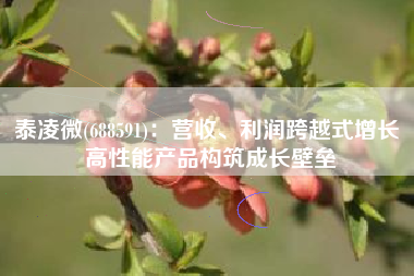 泰凌微(688591)：营收、利润跨越式增长 高性能产品构筑成长壁垒