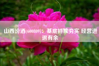 山西汾酒(600809)：基底持续夯实 经营进退有余