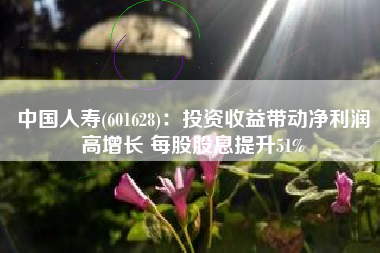 中国人寿(601628)：投资收益带动净利润高增长 每股股息提升51%