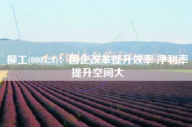 柳工(000528)：国企改革提升效率 净利率提升空间大
