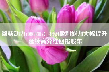 潍柴动力(000338)：4Q24盈利能力大幅提升 延续高分红回报股东