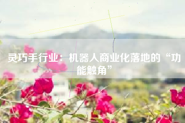 灵巧手行业：机器人商业化落地的“功能触角”