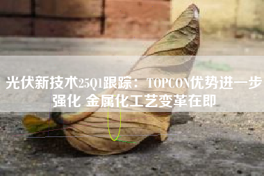 光伏新技术25Q1跟踪：TOPCON优势进一步强化 金属化工艺变革在即