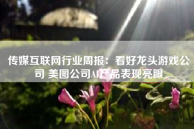 传媒互联网行业周报：看好龙头游戏公司 美图公司AI产品表现亮眼