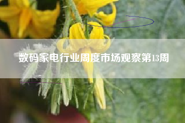 数码家电行业周度市场观察第13周