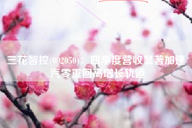 三花智控(002050)：四季度营收显著加速 汽零重回高增长轨道