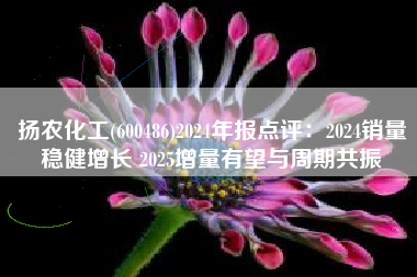 扬农化工(600486)2024年报点评：2024销量稳健增长 2025增量有望与周期共振