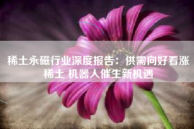 稀土永磁行业深度报告：供需向好看涨稀土 机器人催生新机遇