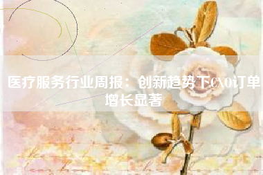 医疗服务行业周报：创新趋势下CXO订单增长显著