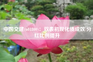 中国交建(601800)：双表初现化债成效 分红比例提升