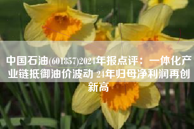 中国石油(601857)2024年报点评：一体化产业链抵御油价波动 24年归母净利润再创新高
