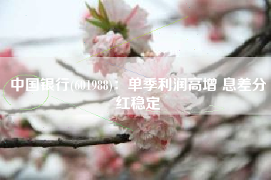 中国银行(601988)：单季利润高增 息差分红稳定