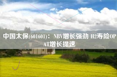 中国太保(601601)：NBV增长强劲 H2寿险OPAT增长提速