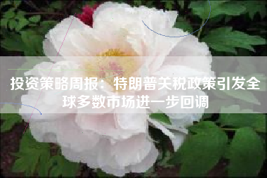 投资策略周报:特朗普关税政策引发全球多数市场进一步回调 投资策略周报:特朗普关税政策引发全球多数市场进一步回调