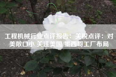 工程机械行业点评报告：关税点评：对美敞口小 关注美国/墨西哥工厂布局