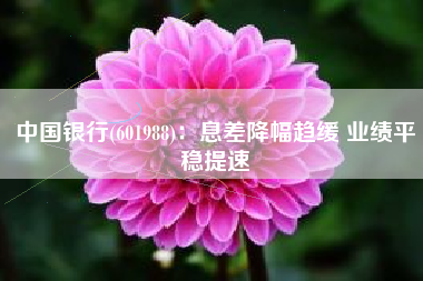 中国银行(601988)：息差降幅趋缓 业绩平稳提速