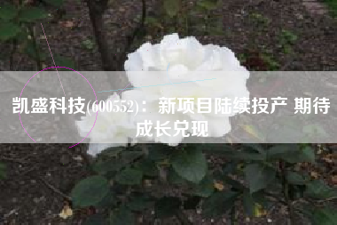 凯盛科技(600552)：新项目陆续投产 期待成长兑现