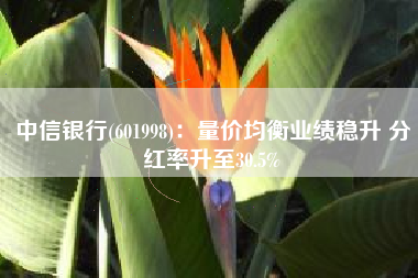 中信银行(601998)：量价均衡业绩稳升 分红率升至30.5%