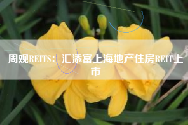 周观REITS：汇添富上海地产住房REIT上市