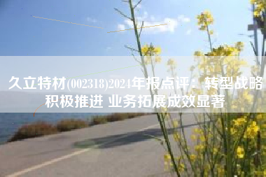 久立特材(002318)2024年报点评：转型战略积极推进 业务拓展成效显著