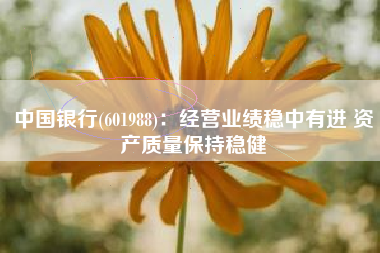 中国银行(601988)：经营业绩稳中有进 资产质量保持稳健