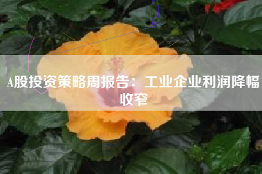 A股投资策略周报告：工业企业利润降幅收窄