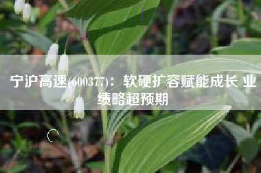 宁沪高速(600377)：软硬扩容赋能成长 业绩略超预期