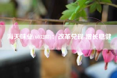 海天味业(603288)：改革兑现 增长稳健