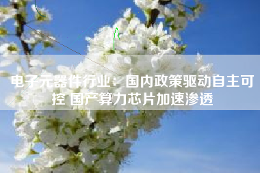 电子元器件行业：国内政策驱动自主可控 国产算力芯片加速渗透