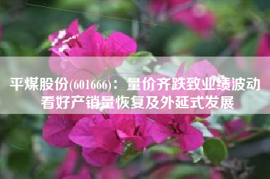 平煤股份(601666)：量价齐跌致业绩波动 看好产销量恢复及外延式发展