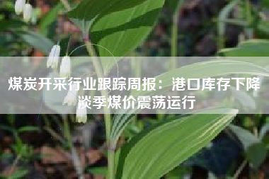 煤炭开采行业跟踪周报：港口库存下降 淡季煤价震荡运行