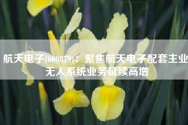航天电子(600879)：聚焦航天电子配套主业 无人系统业务延续高增