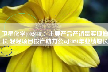 卫星化学(002648)：主要产品产销量实现增长 轻烃项目投产助力公司2024年业绩增长
