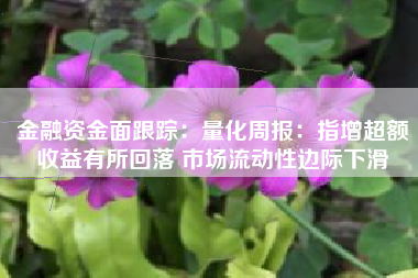 金融资金面跟踪：量化周报：指增超额收益有所回落 市场流动性边际下滑