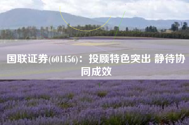 国联证券(601456)：投顾特色突出 静待协同成效
