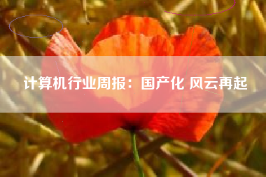计算机行业周报：国产化 风云再起