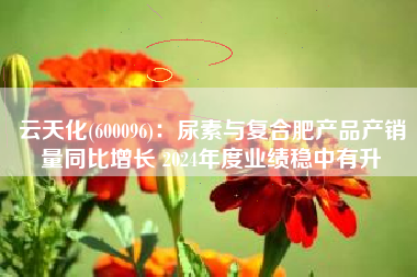 云天化(600096)：尿素与复合肥产品产销量同比增长 2024年度业绩稳中有升
