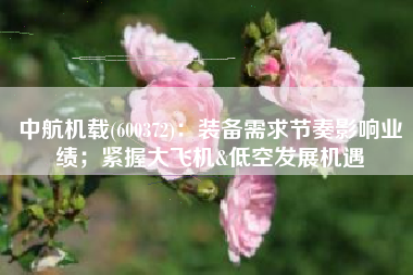 中航机载(600372)：装备需求节奏影响业绩；紧握大飞机&低空发展机遇