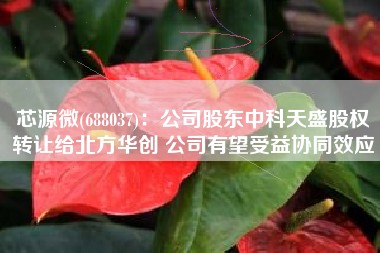 芯源微(688037)：公司股东中科天盛股权转让给北方华创 公司有望受益协同效应