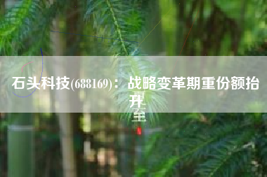 石头科技(688169)：战略变革期重份额抬升