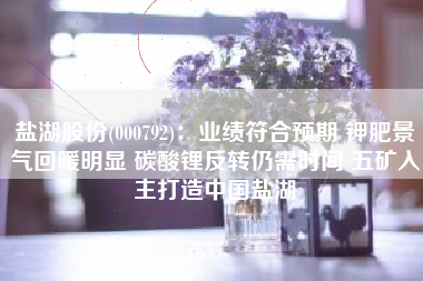 盐湖股份(000792)：业绩符合预期 钾肥景气回暖明显 碳酸锂反转仍需时间 五矿入主打造中国盐湖